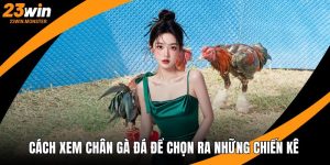 cách xem chân gà đá