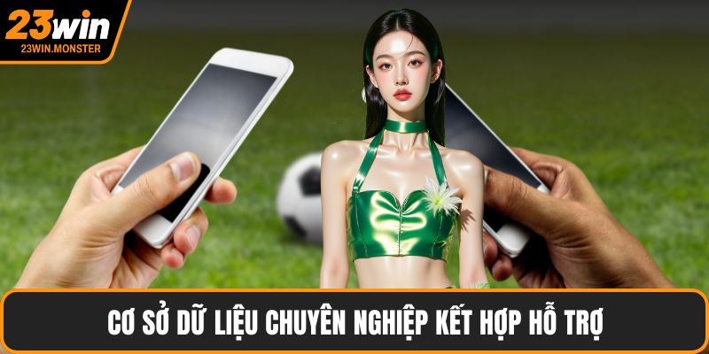 Cơ sở dữ liệu chuyên nghiệp kết hợp hỗ trợ