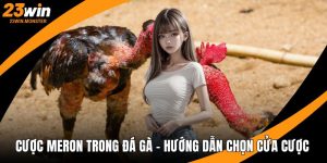 Cược Meron trong đá gà
