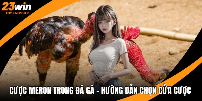 Cược Meron trong đá gà