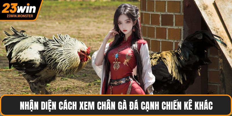 Nhận diện cách xem chân gà đá cạnh chiến kê khác