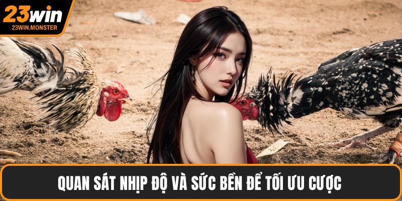 Quan sát nhịp độ và sức bền để tối ưu cược 