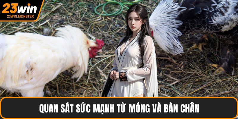 Quan sát sức mạnh từ móng và bàn chân