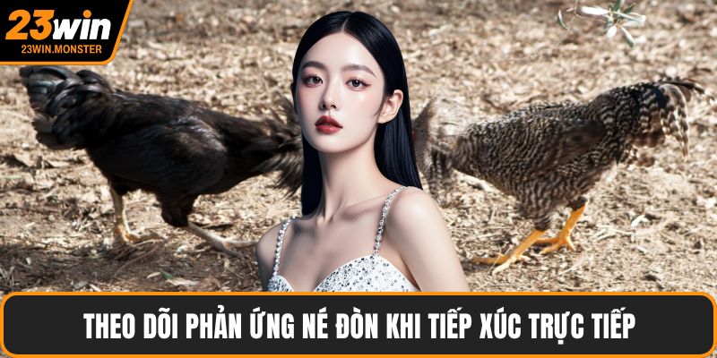 Theo dõi phản ứng né đòn khi tiếp xúc trực tiếp