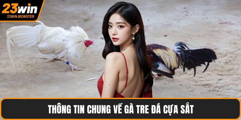 Thông tin chung về gà tre đá cựa sắt