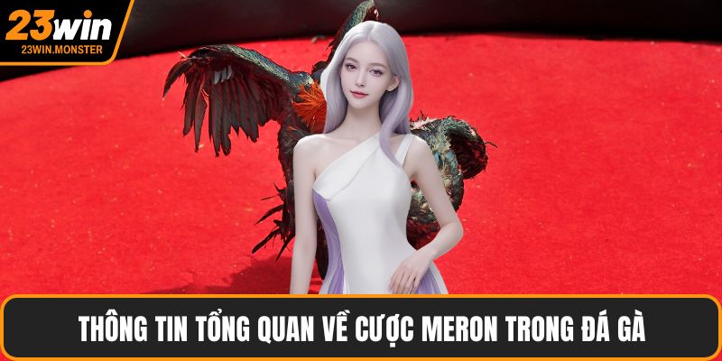 Thông tin tổng quan về cược Meron trong đá gà