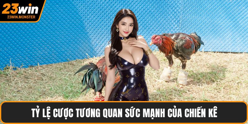 Tỷ lệ cược tương quan sức mạnh của chiến kê