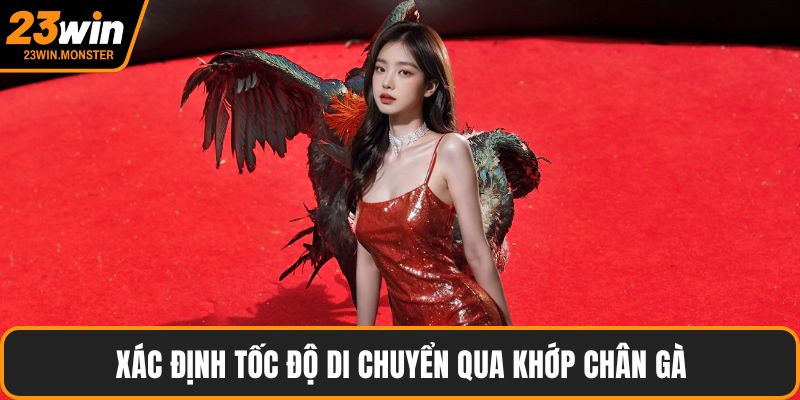 Xác định tốc độ di chuyển qua khớp chân gà